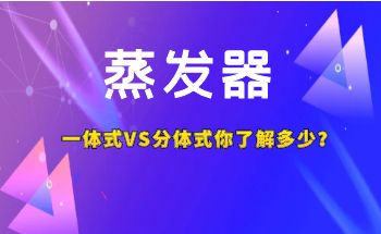 һʽVSʽ˽٣